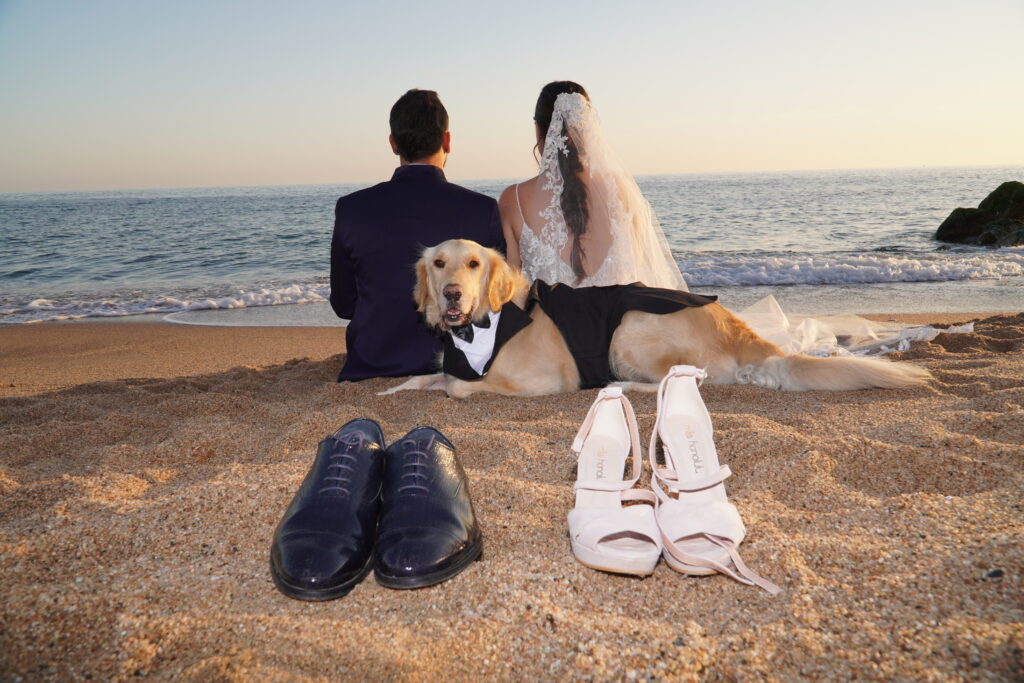 Fotógrafo de Bodas en la Playa